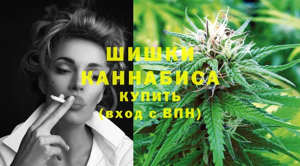 шишки Балахна