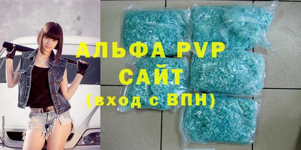 крисы Баксан