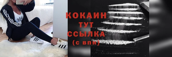 крисы Баксан