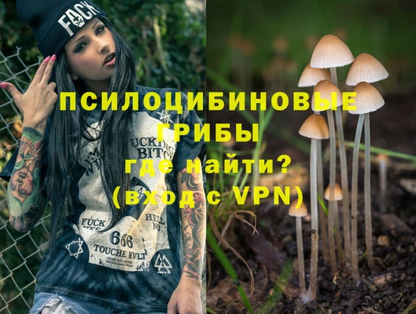 а пвп мука Балабаново